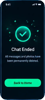 Chat ended, all messages deleted